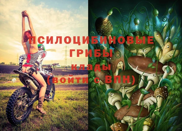 spice Абинск