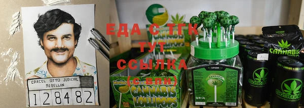 прущие грибы Алзамай