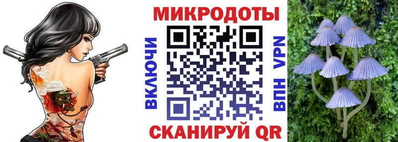 Псилоцибиновые грибы Psilocybine cubensis  Нерехта 